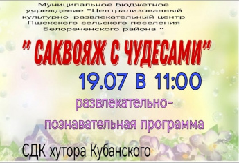 Саквояж с чудесами